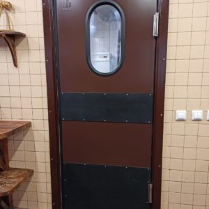 Маятниковая и качающаяся противопожарная дверь / серия FRM7381